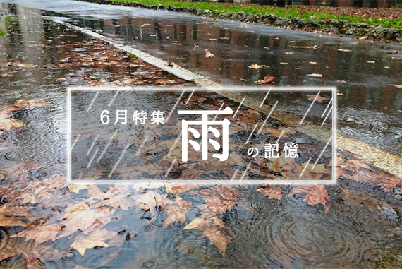 雨シリーズ3