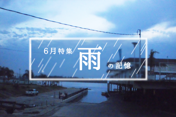 雨シリーズみほさん